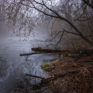 Таинственность лесного озера